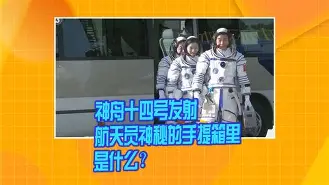 本菲卡发布备战花絮，清晨强势反弹，法国杯任务艰巨，球队文化再被提及