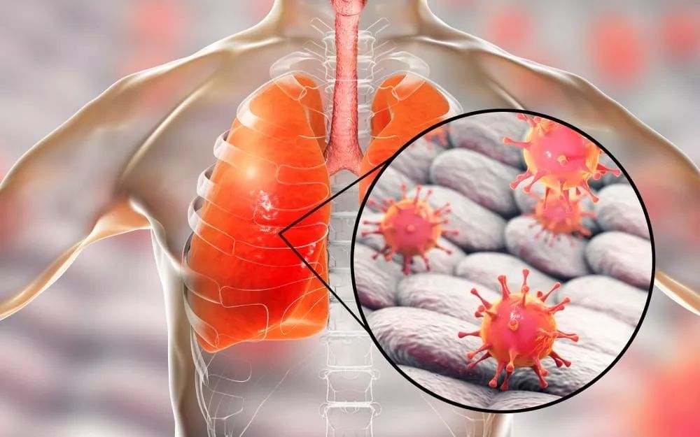 今夜罗马备战NBA常规赛；门线救险细节曝光；目标明确；医务组通报恢复